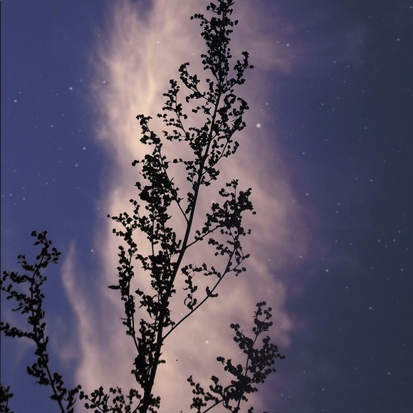 Meet your Posher, Faith - Picture 1 of 1